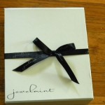 Jewelmint for the Jewelry Obsessed!