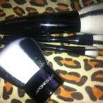 Lipstick and Luxury loves Japonesque Safari Chic Brush Collection