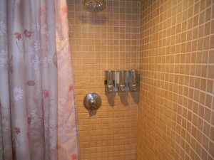 Beauty Jewel Spa Shower