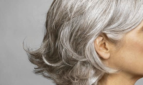 Top 4 Tips To Help you Avoid Getting Gray Hair
