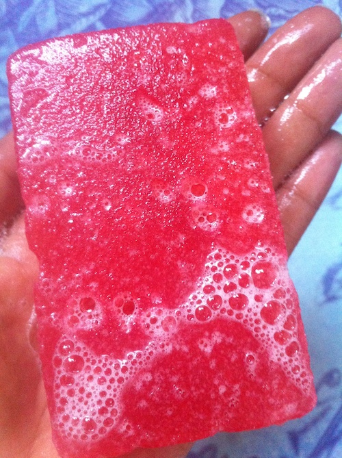 Cleanlogic Soap + Sponge