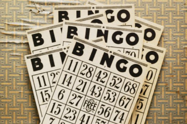 Play online bingo the fashionable way